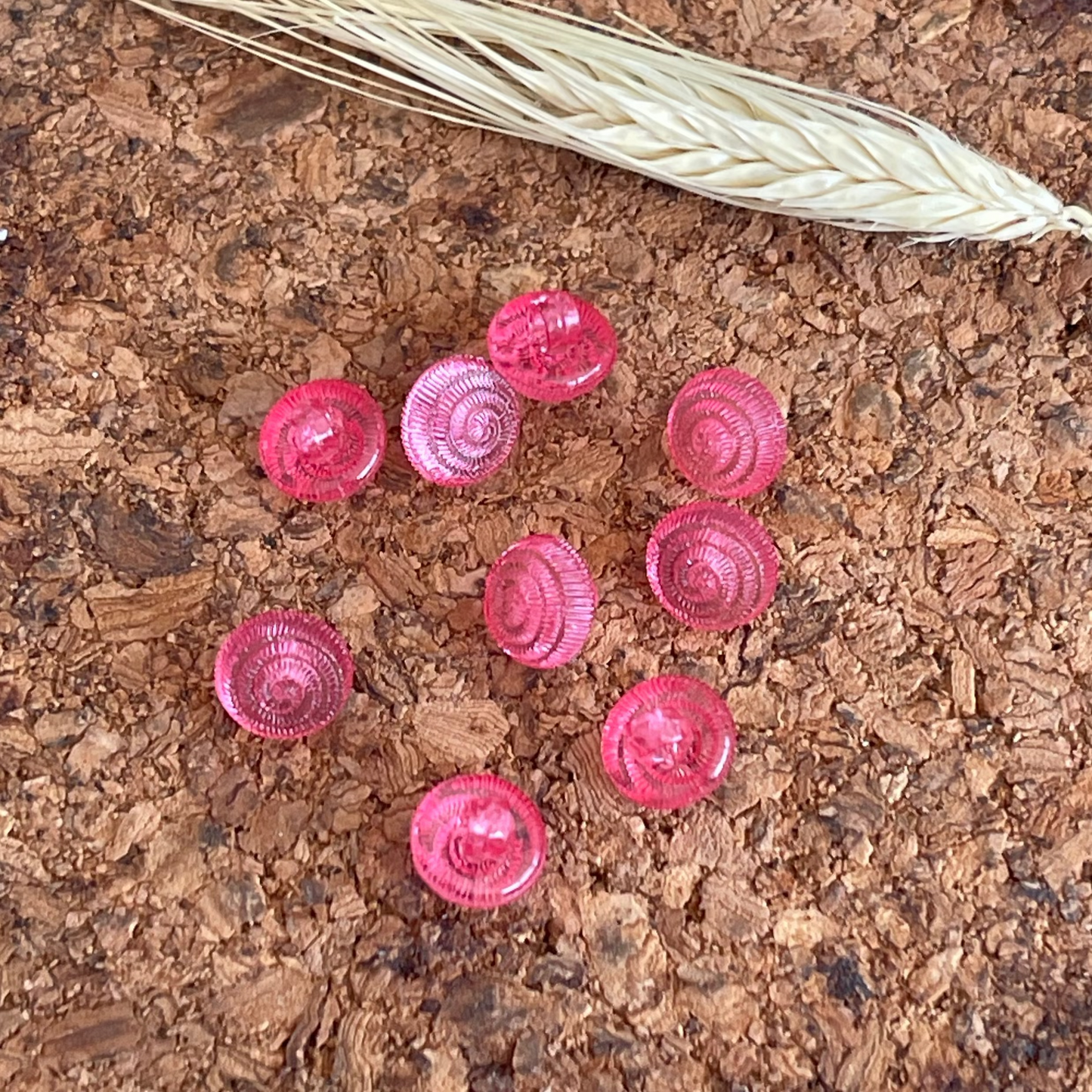 Bouton rose transparent coquille marine 10mm