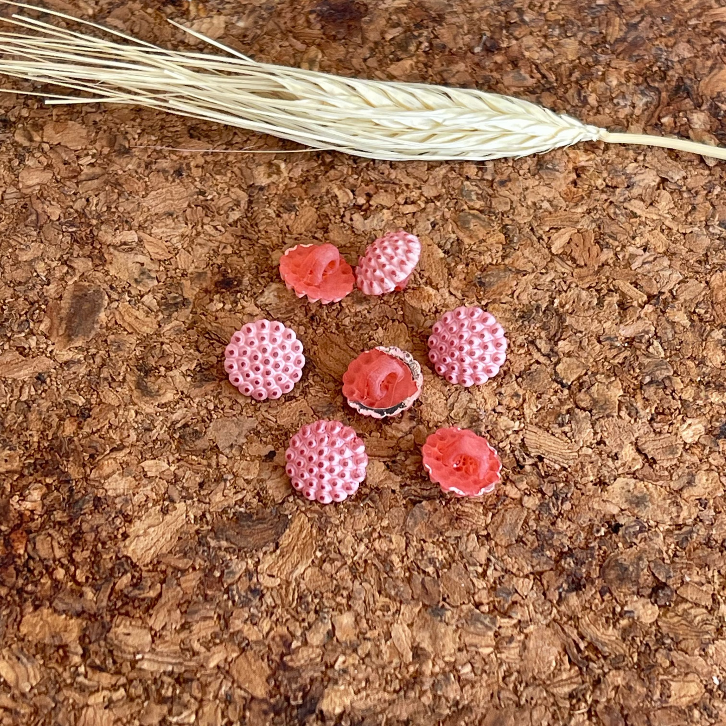 Bouton rose bonbon 10mm