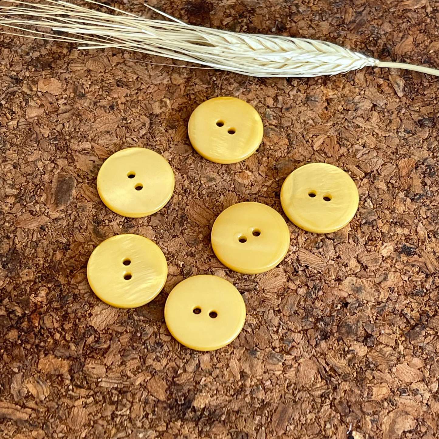 Bouton ocre 2 trous 20mm